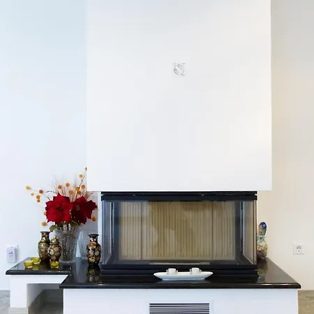Apartment Vila Vizija *