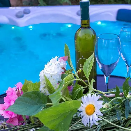 Apartment Vila Vizija Sukosan